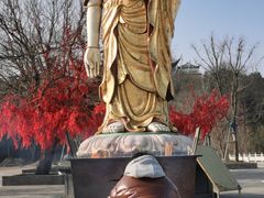 -冶父山国家森林公园