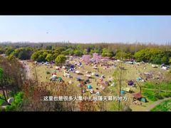 -上海滨江森林公园