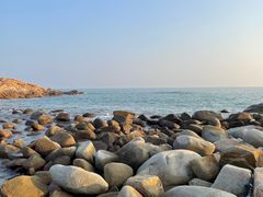 -广东惠东海龟国家级自然保护区