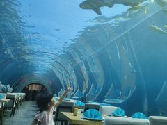 -涛·海底餐厅·美人鱼·自助餐·海底隧道(三亚海棠湾洲际度假酒店)
