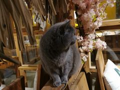 -桃花坞·私房菜餐厅(龙湖时代天街店)