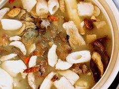 菌火锅-山菌美食苑(振兴路店)