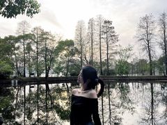 -东湖落雁景区