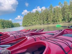 -上海海湾国家森林公园