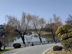 -月湖风景区