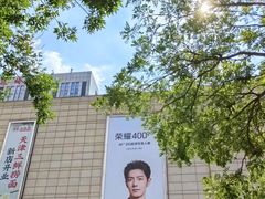 -鹏欣水游城