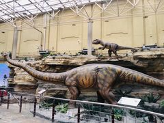 -国家自然博物馆