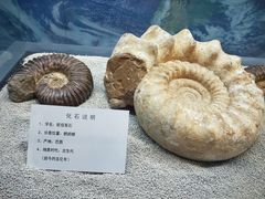 -大同煤炭博物馆