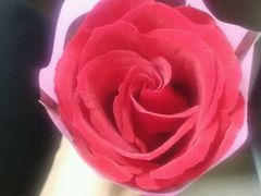 -雕刻时光咖啡馆(北苑店)