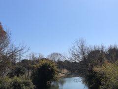 -贡湖湾湿地公园