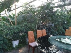 -汤山翠谷生态餐厅