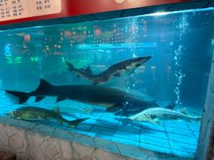 -年辉渔村·非遗传承餐厅(新丰江店)
