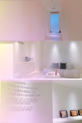 -紫御国际抗衰ZOE ANTI AGING