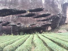 -武夷山风景名胜区-虎啸岩