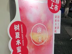 -树夏(建设路店)