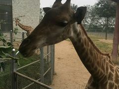 -石家庄市动物园