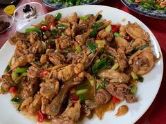 现杀果园鸡—黄焖鸡-生态苑农庄(十里画廊遇龙河店)