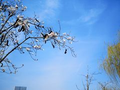 -尚贤河湿地