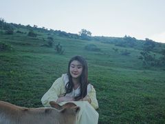 -大姆山草场