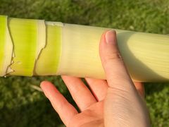 -乌记大厨餐厅