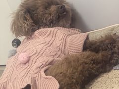 -绿篮子(寿春路店)