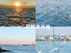 -日照灯塔风景区