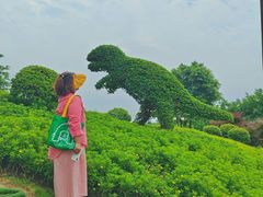 -铁山坪森林公园