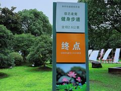 -荷塘月色湿地公园·向阳花洲