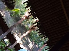 iphone_upload_pic-厦门日月谷温泉渡假村