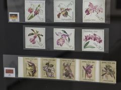 -国家植物园南园