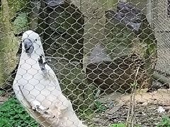 -杭州动物园