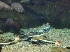 -太平洋海底世界