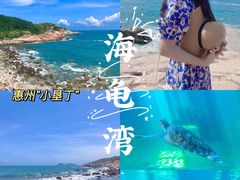 -广东惠东海龟国家级自然保护区