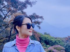 -广州市石门国家森林公园