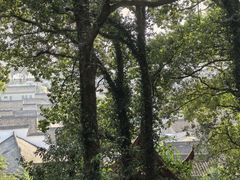 -东钱湖旅游度假区