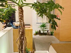 -鹤菊怀石料理(江北店)