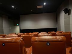 -SFC上影百联影城(八佰伴IMAX店)