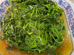 酒香草头-洞天食府(北大街店)