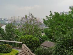 -磁器口古镇