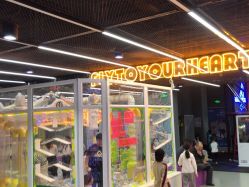 -反弹蹦床公园·亲子乐园·团建·派对(中庚漫游城店)