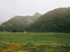 -狮子沟牧场