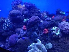 -泸州欢乐派海滩公园