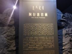 -包头博物馆