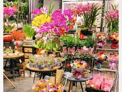 -豆豆花艺(新光天地店)