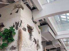 -农畉LONFOOD(福田星河COCOPark店)