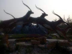 -武清南湖绿博园