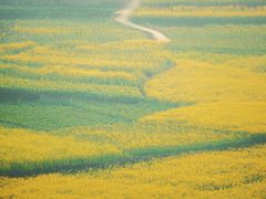 -万峰林风景区