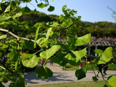 -苏州上方山国家森林公园