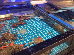 -阳光岛·海鲜盛宴(银泰中心in99店)