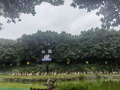 -广州长隆飞鸟乐园